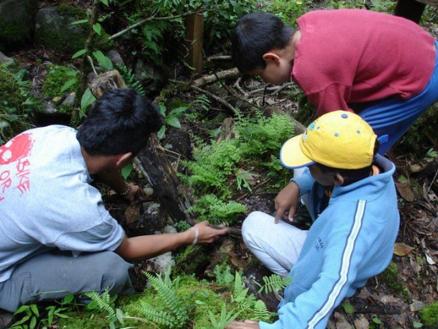 Senderismo interpretativo